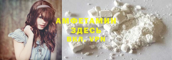 прущие грибы Богородск
