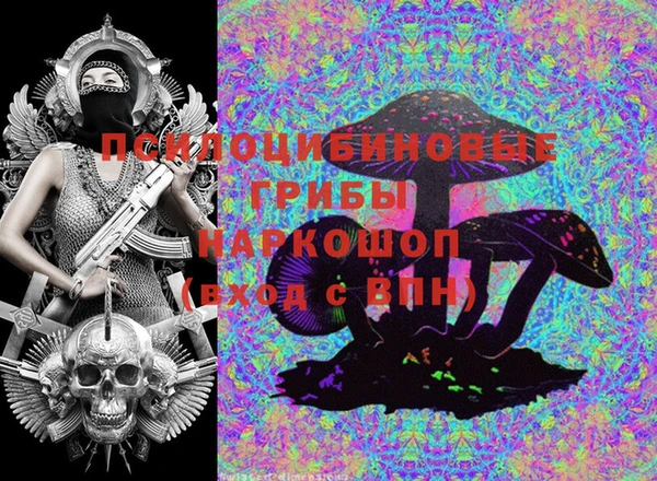 таблы Богданович