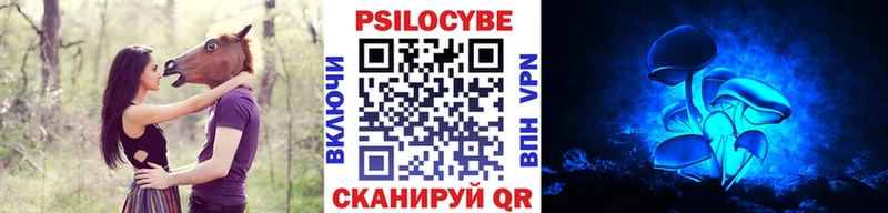 Галлюциногенные грибы Psilocybe  OMG ссылки  Волчанск 